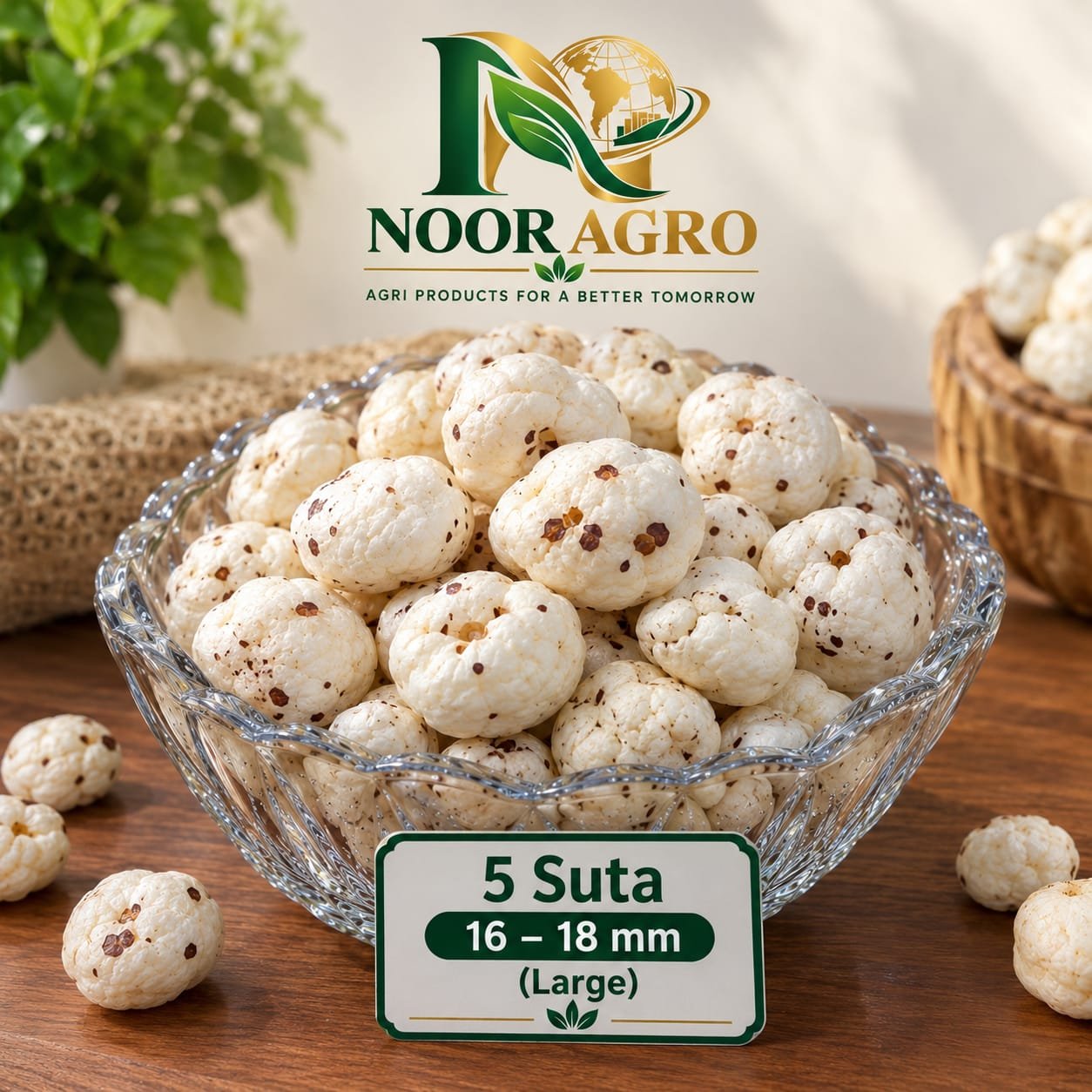 5 Suta Makhana